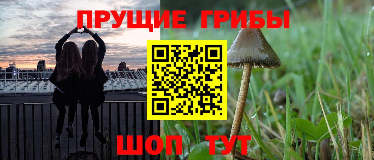 Псилоцибиновые грибы мицелий  Галлюциногенные грибы MAGIC MUSHROOMS  Вход с VPN  Ногинск 